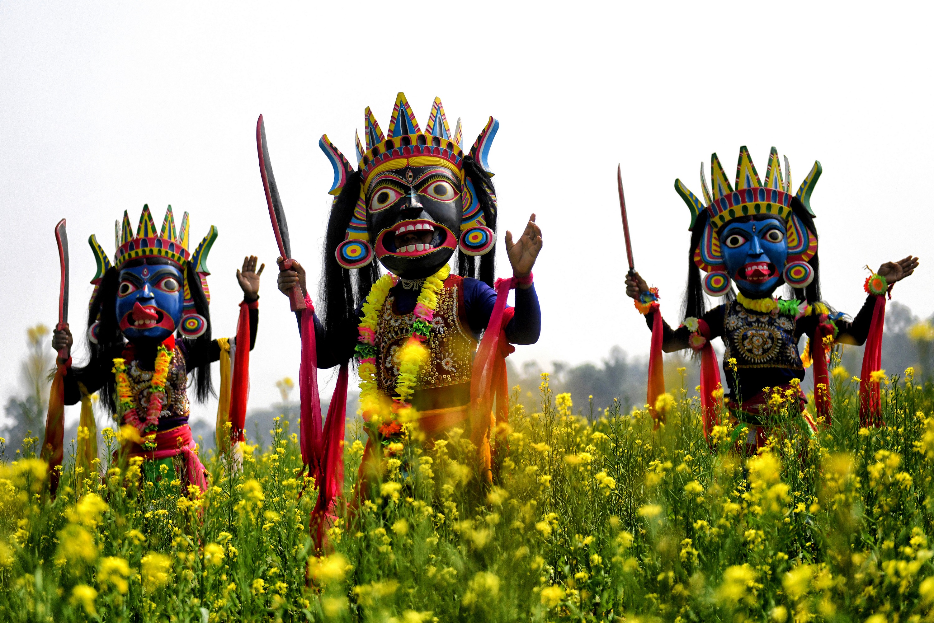 Gomira mask dancers performing in a field of yellow flowers